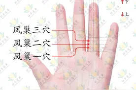 守护女士的健康-凤巢穴图片
