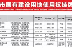 南京再挂6幅地，起拍总价超58亿，河西南将迎重磅商业体…图片