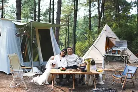 杭州夫妻财务自由后，在野地搭帐篷生活，看到最美的清晨图片