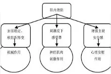 肌内效贴对慢性踝关节不稳运动神经肌肉控制的影响图片