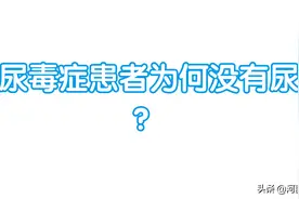 尿毒症患者为何没有尿？图片
