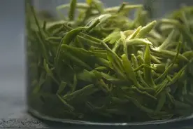 每天以茶代水，究竟会有什么危害？图片