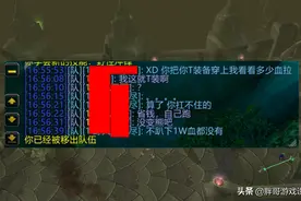 魔兽世界：TBC“强力党”回归，只因血量太低，T4熊德被踢出队伍图片
