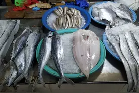 禁捕了3个月，现在终于开捕，带你看看启东菜市场里的海鲜与价格图片