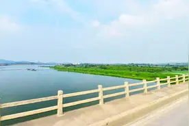 在武汉蔡甸随拍天然湿地，来到通顺河边，欣赏一碧千里的生态风景图片