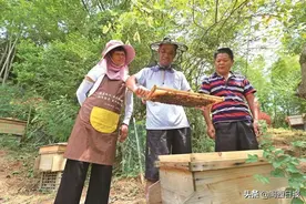 龙岩：脱贫攻坚老区苏区不掉队图片