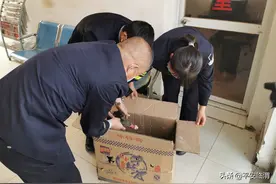 公安临渭分局官道派出所及时救助国家二级保护动物黑天鹅图片