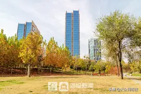 枣庄薛城：城市森林公园初冬更多彩（组图）图片