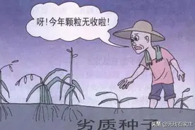 @新乐农民朋友，买到假种子？打这个电话举报！图片