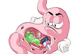 胆囊是如何帮助消化食物的？图片