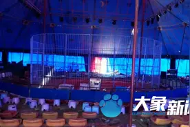 被黑熊撕咬驯兽师发声：表演时有观众投掷火腿肠，捡起后没喂给黑熊引发意外图片