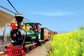 刷爆朋友圈的网红小火车，到底值不值得上？图片