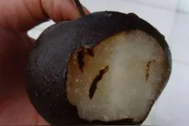 有人网购东北特色美食，气急败坏给差评，东北人：不会吃就别吃图片