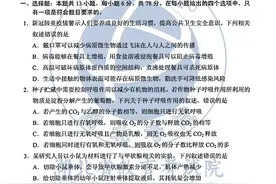 2020年湖北高考理科综合试卷及答案图片