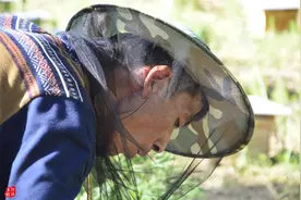栾川小伙大山里养蜂，三年投入10万余元，多长时间能收回成本？图片
