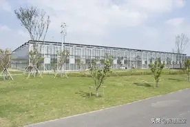 玻璃温室大棚设计及配套系统图片