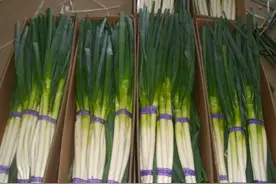 大葱能和蜂蜜一起食用吗？大葱可以和蜂蜜一起吃吗？图片