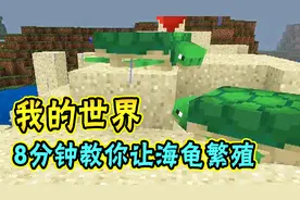 我的世界：8分钟教你让海龟繁殖，孵出小海龟视频封面