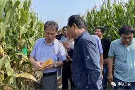 学党史 办实事 展新品 推良种——2021年天津春玉米新品种展示示范观摩会图片