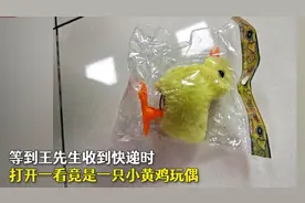 江苏苏州男子预付1400元买摩托，快递到手却是2元玩具鸡图片