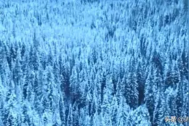 雪人真的存在于世吗？曾经雪人与人类和平共处？图片