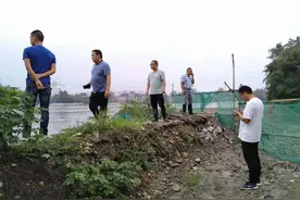 暴雨致毗河马坪段一堤埂渗水，姚渡镇用十余个小时筑起一道新堤图片