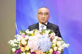 金辉赴港IPO，“福清哥”林定强90后的儿子冲上台前图片