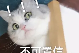 私密整形严重并发症：阴道注射填充剂9小时后永久停止呼吸图片