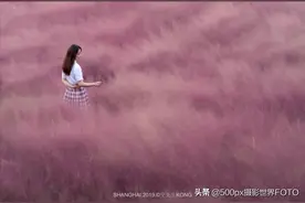 粉黛乱子草&JK少女/空图片