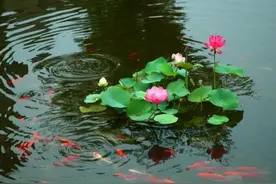 新疆舞姿优美图片