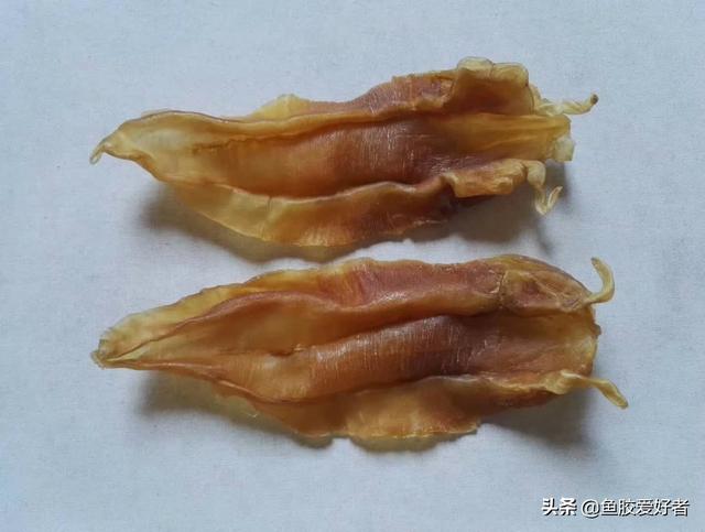 苏里南鱼胶母鱼胶怎么样 2026年苏里南鱼胶好不好