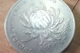 2013年一元菊花硬币神奇发现图片