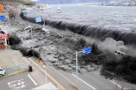 如果50米高的海啸来袭，是跑向内陆好，还是迎面扎进水里好？图片