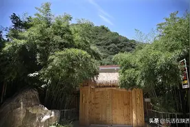 得空偷得半日闲，终南山居做神仙图片