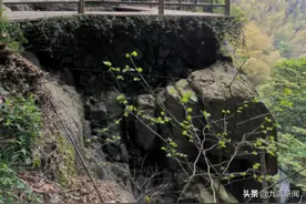 孩子小便被踹，女子称与对方争执时被推下山崖，法院：不构成故意伤害罪图片