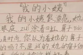 熊孩子写作文吐槽小姨：“怕被她讹钱”，网友：碰上对手了图片