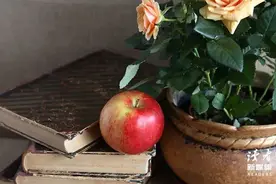 哈佛大学研究：运动，是治愈一切的良药图片