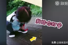 4岁萌娃打伞30分钟，送蜗牛“回家”：爸爸妈妈没来接它图片