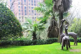 湖南望城：楼市秩序混乱 质量问题频发 全装修“重灾区”图片