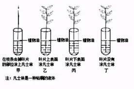 临沂某县区2021年八年级生物二轮复习验收试题，图片及答案图片
