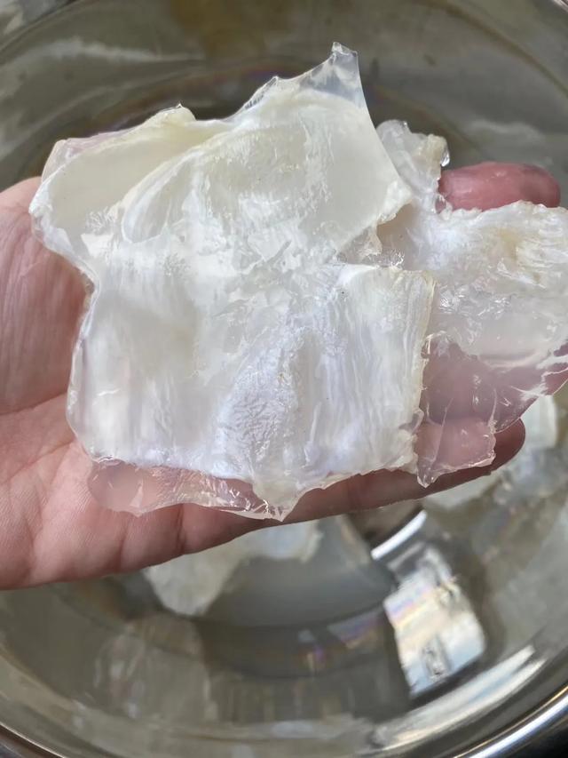 蝴蝶胶怎么泡发 2026年蝴蝶胶怎么泡发快 蝴蝶胶怎么泡发 2026年蝴蝶胶怎么泡发快