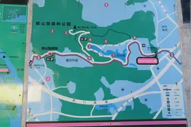 南沙绿肺，万亩的天然大氧巴黄山鲁森林公园图片