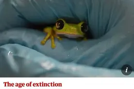 英国宠物青蛙身上首次发现蛙类致命病菌！尚不清楚传播途径图片