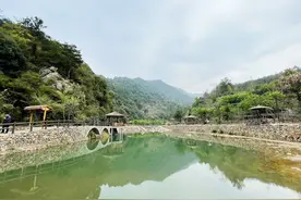 丹阳镇新洋村：红绿相映焕异彩图片
