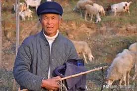 当年放羊的日子，我犯下的那些过失图片