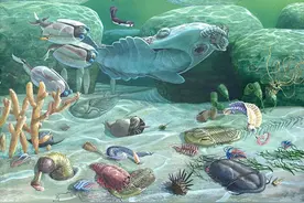 地球有1.5亿亿吨碳，石油似乎抽不完，真是古生物变的？图片