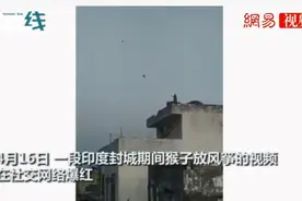 印度猴子在屋顶放风筝 当地官员:疫情封锁进化得快图片