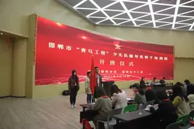 全省唯一！邯郸市“红领巾奖章”实施方案在河北省推广图片