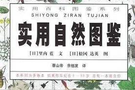 豆瓣9.2，关于常见昆虫的冷门真相 | 实用自然图鉴图片