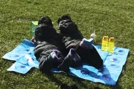 林志颖晒双胞胎儿子趴在草地上晒太阳，翘着小脚丫动作同步超可爱图片